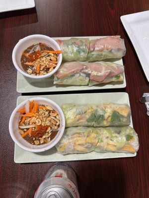Spring Rolls (Gỏi Cuốn) and Summer Rolls (Bì Cuốn) at Thanh Luong Vegetarian in Minnetonka