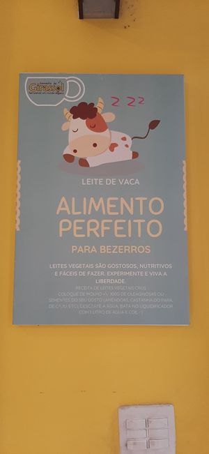  at Semente de Girassol in Curitiba