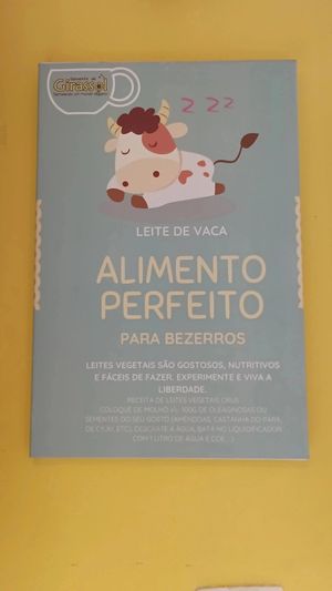  at Semente de Girassol in Curitiba