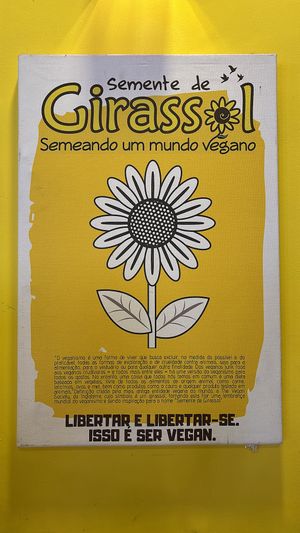   at Semente de Girassol in Curitiba