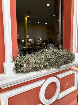 ♥️ at Semente de Girassol in Curitiba