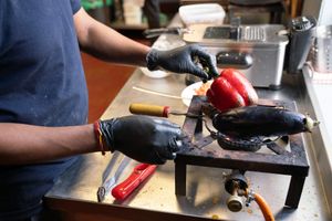 Kitchen at Labas India - Maybe closed in Vilnius