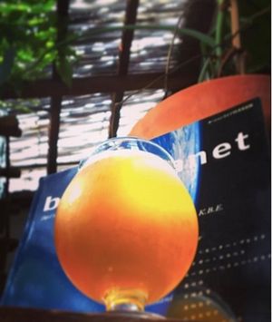 small batch, locally made artisan beer served at the Beach Muffin....Yorocco beer at Beach Muffin in Zushi