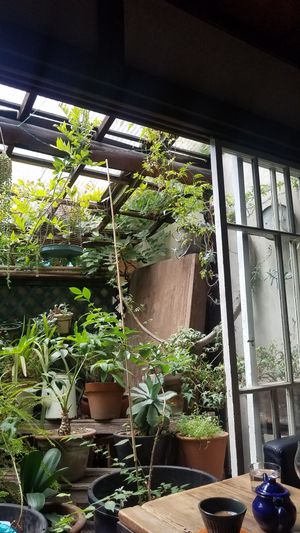 restaurant garden at Beach Muffin in Zushi