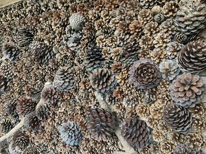  at Can Cafe @ Discovering42 in Bodmin