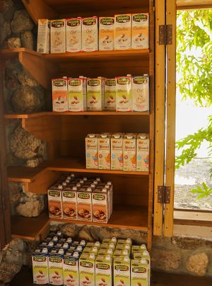 plant milks at Colesome Farmers Market in All Saints