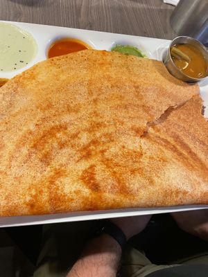 Masala dosa  at Annalakshmi in Hamilton