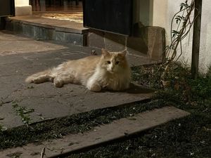   at Muchachito Vicente in Mendoza