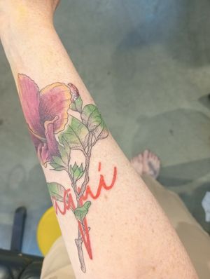  at L'Abeille Blanche in Brussels