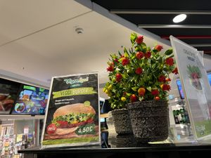offers  at Veganland in Bielefeld