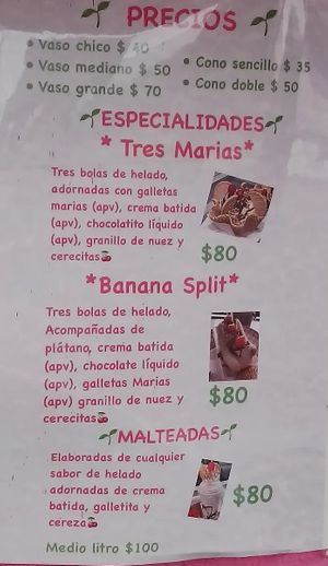 Prices 6/2024 at La Michoacana es Vegana in Mexico City