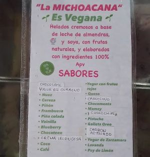 Ice cream Flavors at La Michoacana es Vegana in Mexico City