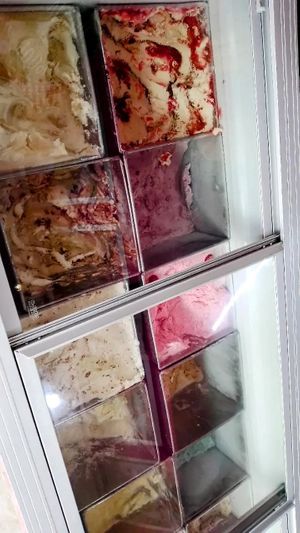  at La Michoacana es Vegana in Mexico City