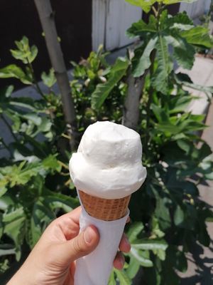  at La Michoacana es Vegana in Mexico City