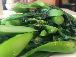 Chinese Broccoli at The Original Buddha Bodai - Kosher Vegetarian Restaurant in New York City