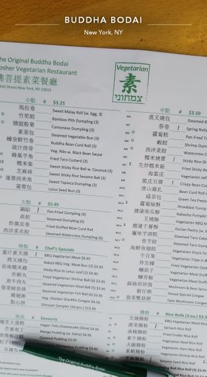 Dim sum menu at The Original Buddha Bodai - Kosher Vegetarian Restaurant in New York City