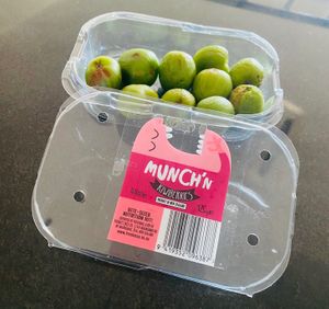  at Goceli Hills in Kuching