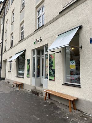 View from the front of the cafe  at etisch. in Munich