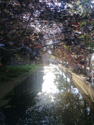 Alongside a pretty canal at Kokam to-go in Delft