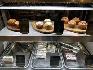   at plant more in Tokyo