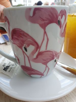  at Flamingo's in Lanzarote