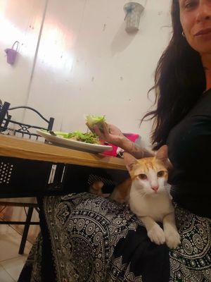  at White Lotus Vegetarian Restaurant in Vientiane