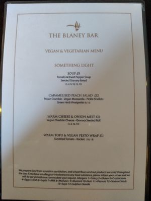 Something light at The Blaney Bar in Enniskillen