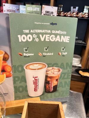   at Mulliri Vjeter in Tirana