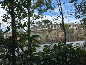  at TREE by NAKED - Meiji Park in Tokyo