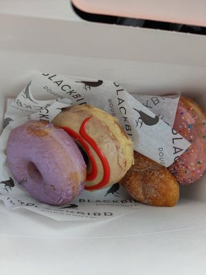 Blueberry lavender, mango swirl, cinnamon sugar braid, and strawberry at Blackbird Doughnuts  in Watertown