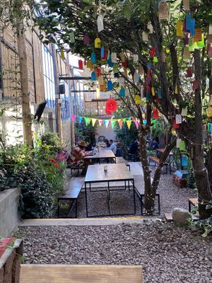 liveley at Green Point in Cusco