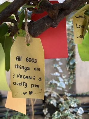 ☺️ at Green Point in Cusco