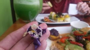 I love eating pretty flowers! makes me feel pretty too.  at Green Point in Cusco