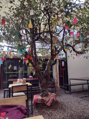  at Green Point in Cusco