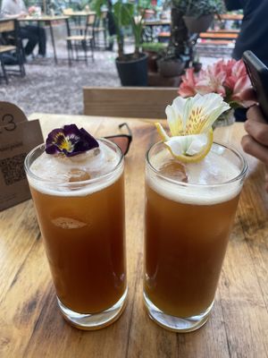 Kombucha  at Green Point in Cusco