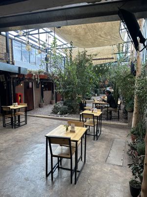   at Green Point in Cusco