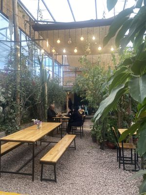   at Green Point in Cusco