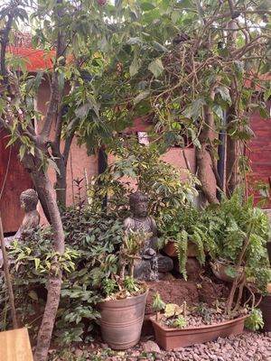   at Green Point in Cusco