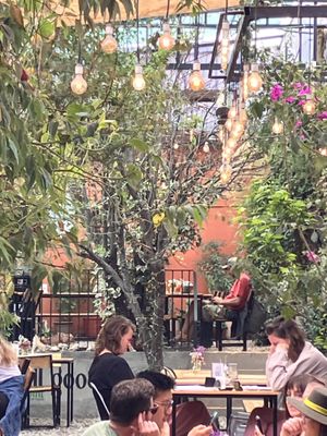 Inside view from our table    at Green Point in Cusco