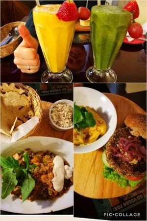 smoothies, quiona burger with sweet potato mash and korma with naan at Green Point in Cusco