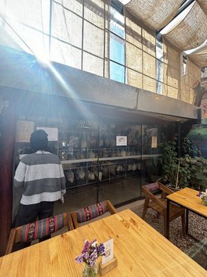 mushrooms!  at Green Point in Cusco