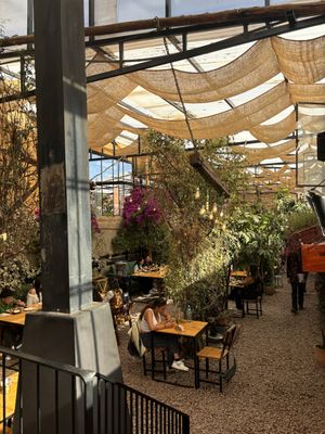   at Green Point in Cusco