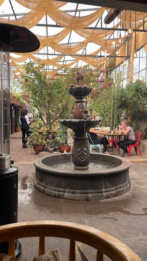 Cute environment   at Green Point in Cusco