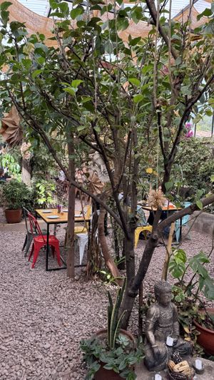 Adentro  at Green Point in Cusco