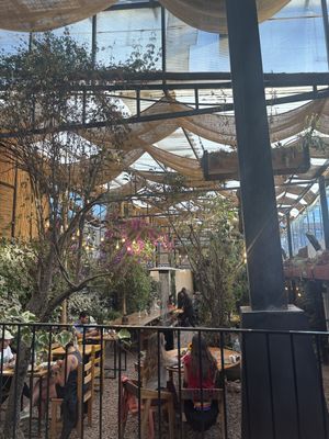   at Green Point in Cusco