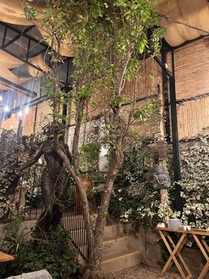 vibes   at Green Point in Cusco