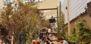 Vibe of venue at Green Point in Cusco