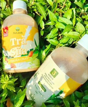  at Rose's Family Vegan Shop - Vegan Grocery, Vegan Icecream and Healthy Kombucha in Hoi An