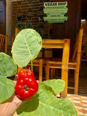  at Rose's Family Vegan Shop - Vegan Grocery, Vegan Icecream and Healthy Kombucha in Hoi An