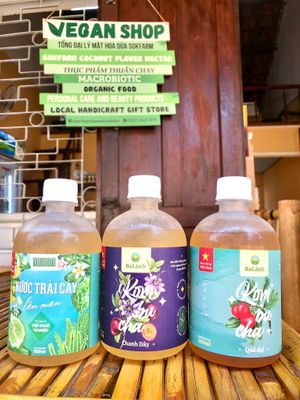  at Rose's Family Vegan Shop - Vegan Grocery, Vegan Icecream and Healthy Kombucha in Hoi An